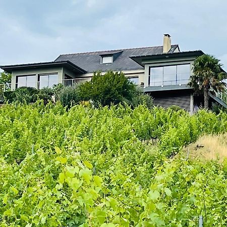 Maison Des Coteaux Blancs Chaudefonds-sur-Layon Exterior foto