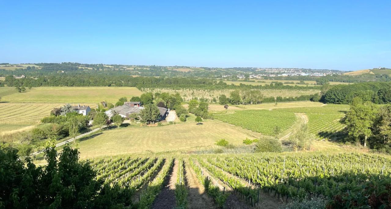 Maison Des Coteaux Blancs Chaudefonds-sur-Layon Exterior foto