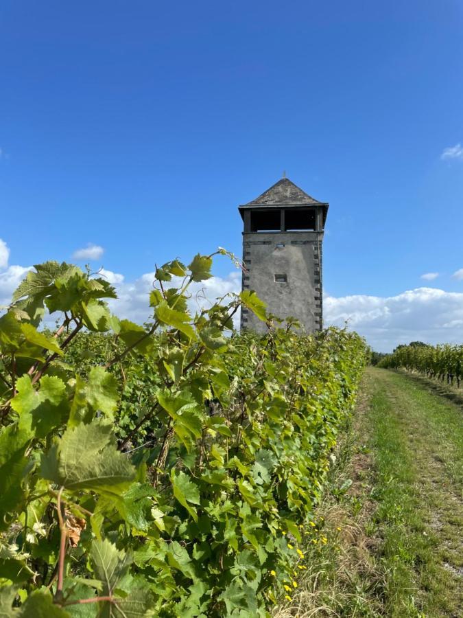 Maison Des Coteaux Blancs Chaudefonds-sur-Layon Exterior foto